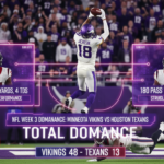 Minnesota Vikings vs Houston Texans Match Player Stats